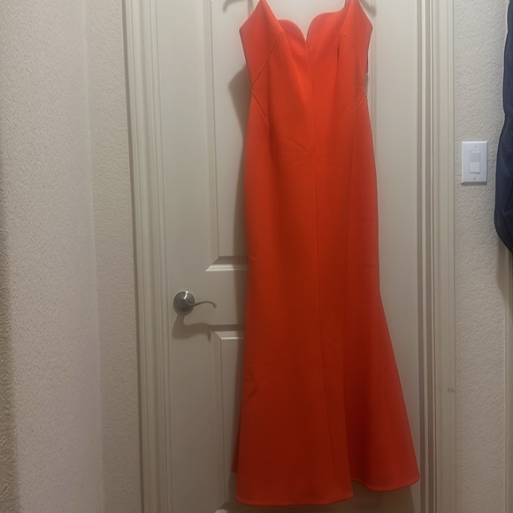 Rachel Gilbert - Picture 3 of 4